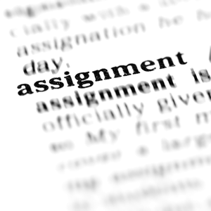 Dịch Vụ Viết Thuê ASSIGNMENT, ESSAY,….