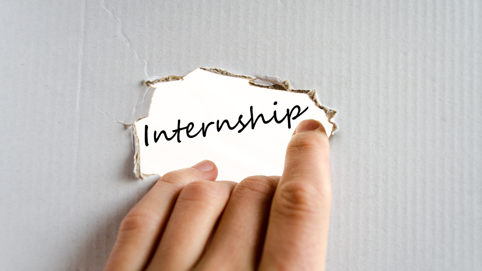 Quy trình làm việc chuyên nghiệp của dịch vụ viết báo cáo thực tập tại MBA88 – đảm bảo chất lượng và giao đúng deadline