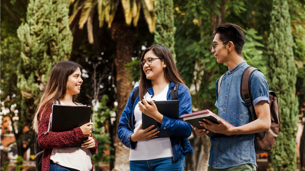 Viết báo cáo thực tập cho các ngành học