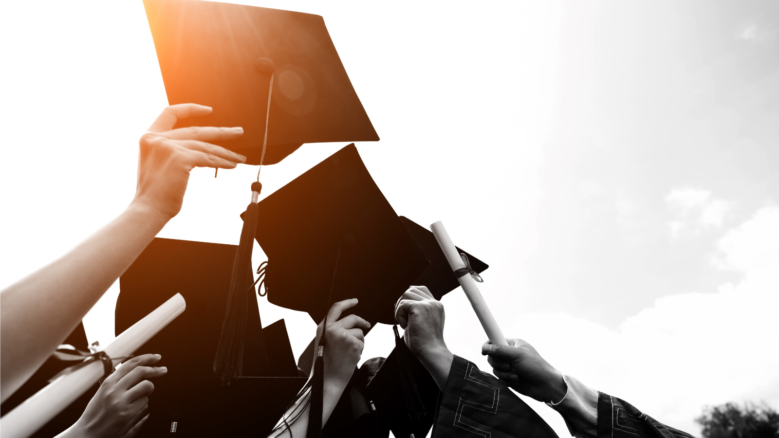 Sinh viên ngành du lịch đặt câu hỏi và được hướng dẫn chi tiết về khóa luận tốt nghiệp từ giảng viên