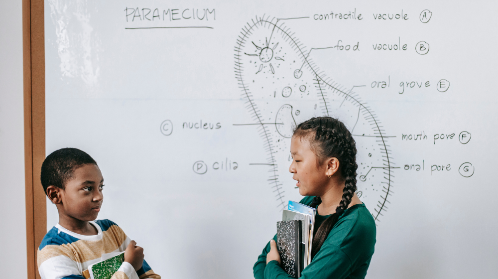 khóa luận tốt nghiệp ngành giáo dục tiểu học